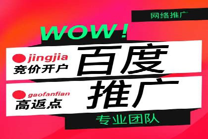 百度竞价排名之成功案例：看广告如何转化为销量