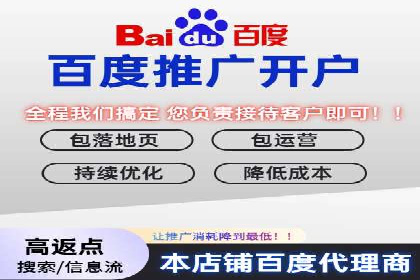 百度移动广告推广策略及效果展示